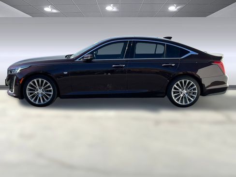 Certified 2021 Cadillac CT5 Premium Luxury w/ Climate Package image 2