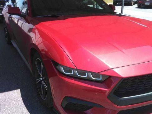 Used 2024 Ford Mustang Premium RWD image 1