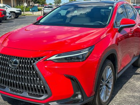 Used 2025 Lexus NX 350h AWD w/ Accessory Package (2T) image 8