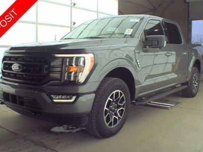 Used 2023 Ford F150 XLT w/ Equipment Group 302A High