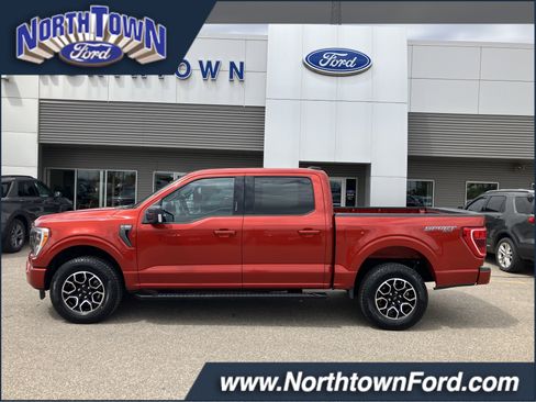 Used 2023 Ford F150 XLT w/ Equipment Group 302A High AWD/4WD image 1