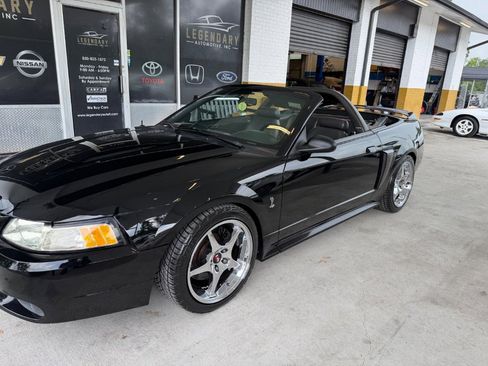 Used 1999 Ford Mustang Cobra RWD image 4