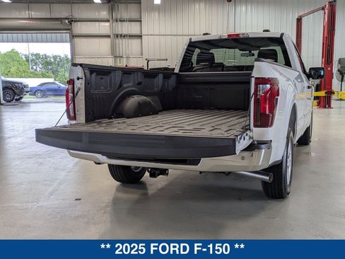 New 2025 Ford F150 XL w/ Equipment Group 103A High image 14