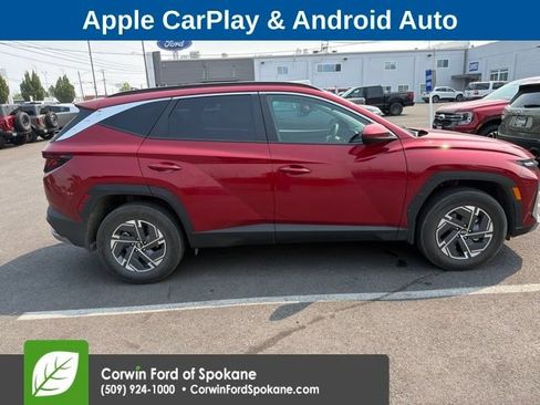 Used 2025 Hyundai Tucson Blue AWD/4WD image 9