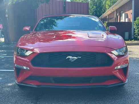 Used 2019 Ford Mustang Premium RWD image 8