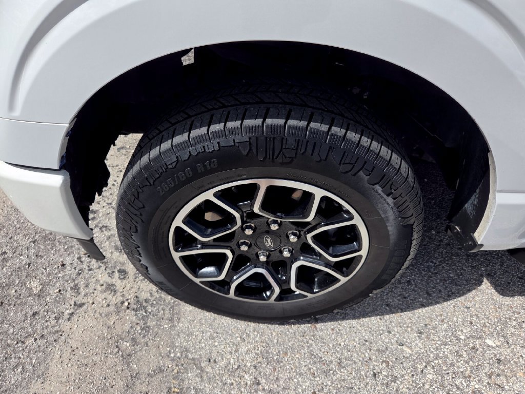 Used 2023 Ford F150 XL w/ STX Appearance Package RWD image 4