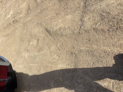 Certified 2023 Kia Telluride SX Prestige image 7