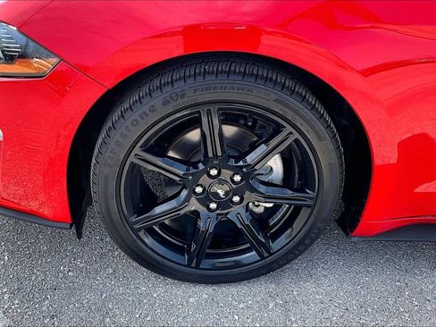 Used 2019 Ford Mustang Coupe w/ Equipment Group 101A image 12