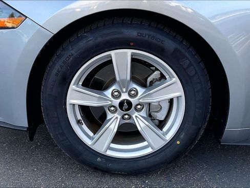 Used 2021 Ford Mustang EcoBoost image 12