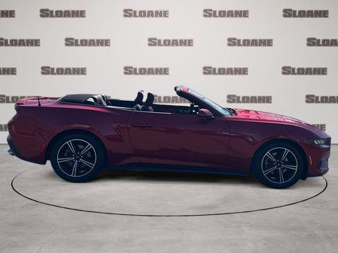 Used 2024 Ford Mustang Premium image 6