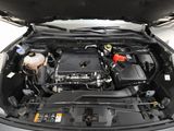 Used 2020 Ford Escape SEL image 6