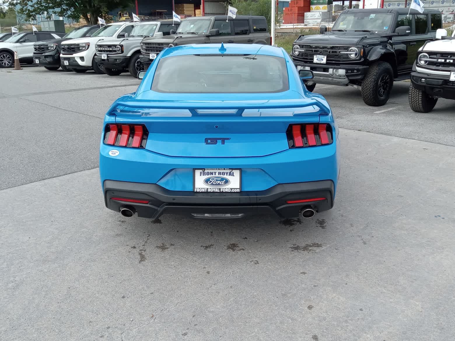 Used 2024 Ford Mustang GT Premium w/ California Special Package RWD image 4