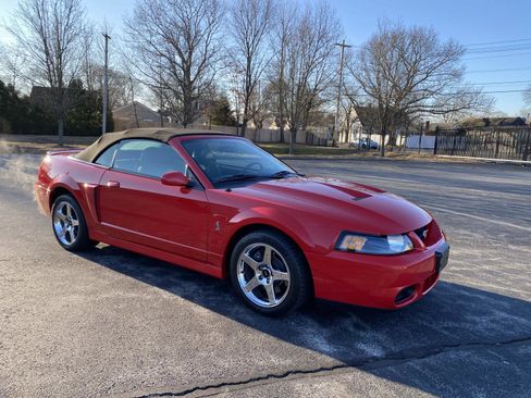 Used 2004 Ford Mustang Cobra image 7