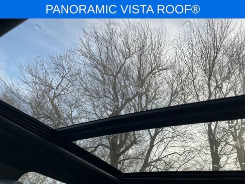 New 2025 Ford Expedition Tremor image 7