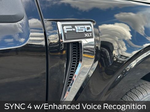 New 2025 Ford F150 XLT w/ Equipment Group 302A MID image 15