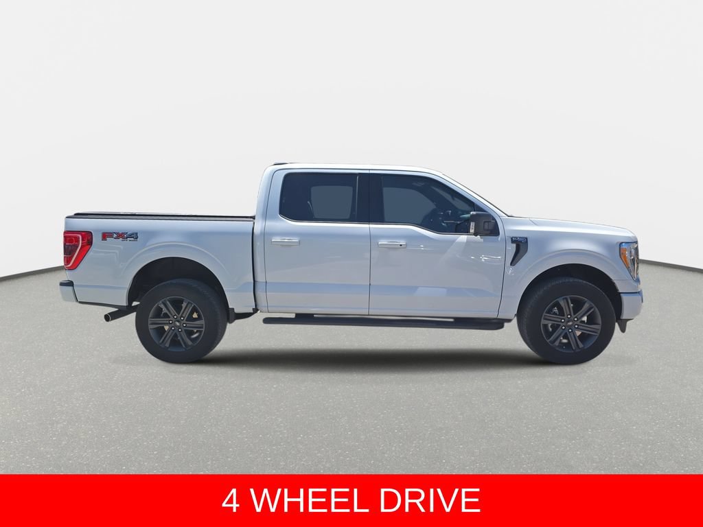 Used 2023 Ford F150 XLT w/ Equipment Group 302A High AWD/4WD image 4