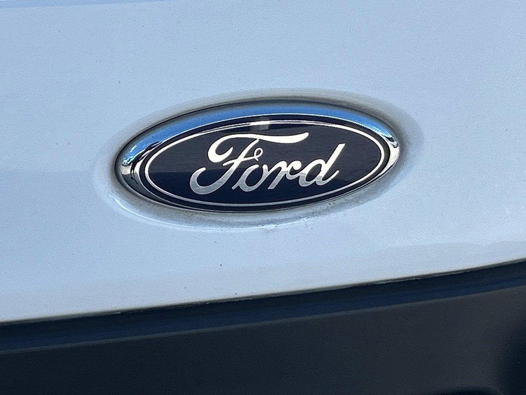 Used 2020 Ford Transit 250 148 High Roof w/ Load Area Protection Package RWD image 20