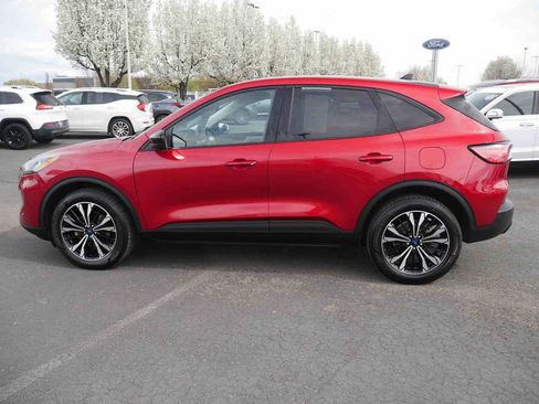 Used 2022 Ford Escape SE w/ SE Sport Appearance Package AWD/4WD image 14