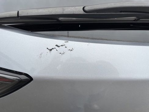 Used 2024 Subaru Outback Wilderness image 13