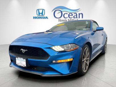 Used 2019 Ford Mustang Premium w/ Equipment Group 201A