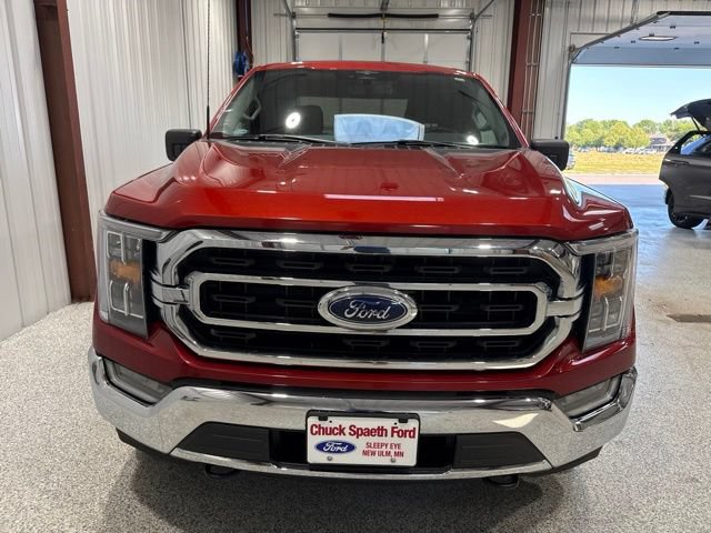 Used 2023 Ford F150 XLT w/ Equipment Group 302A High AWD/4WD image 3