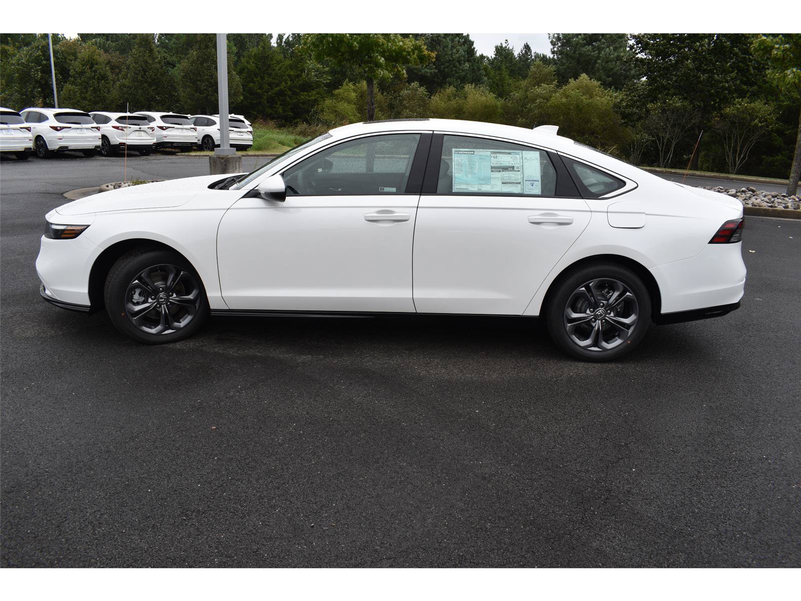 New 2026 Honda Accord Hybrid EX-L image 4