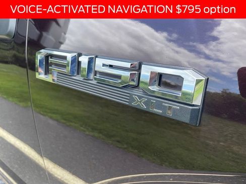 Used 2019 Ford F150 XLT w/ Equipment Group 301A Mid AWD/4WD image 4