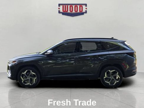 Used 2024 Hyundai Tucson Limited AWD/4WD image 4