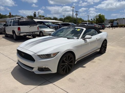 Used 2016 Ford Mustang Premium w/ Equipment Group 201A image 7