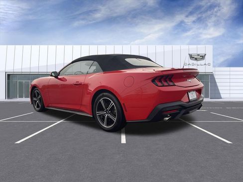 Used 2025 Ford Mustang Premium image 6