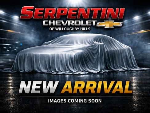 Used 2019 Chrysler Pacifica Touring-L FWD image 1