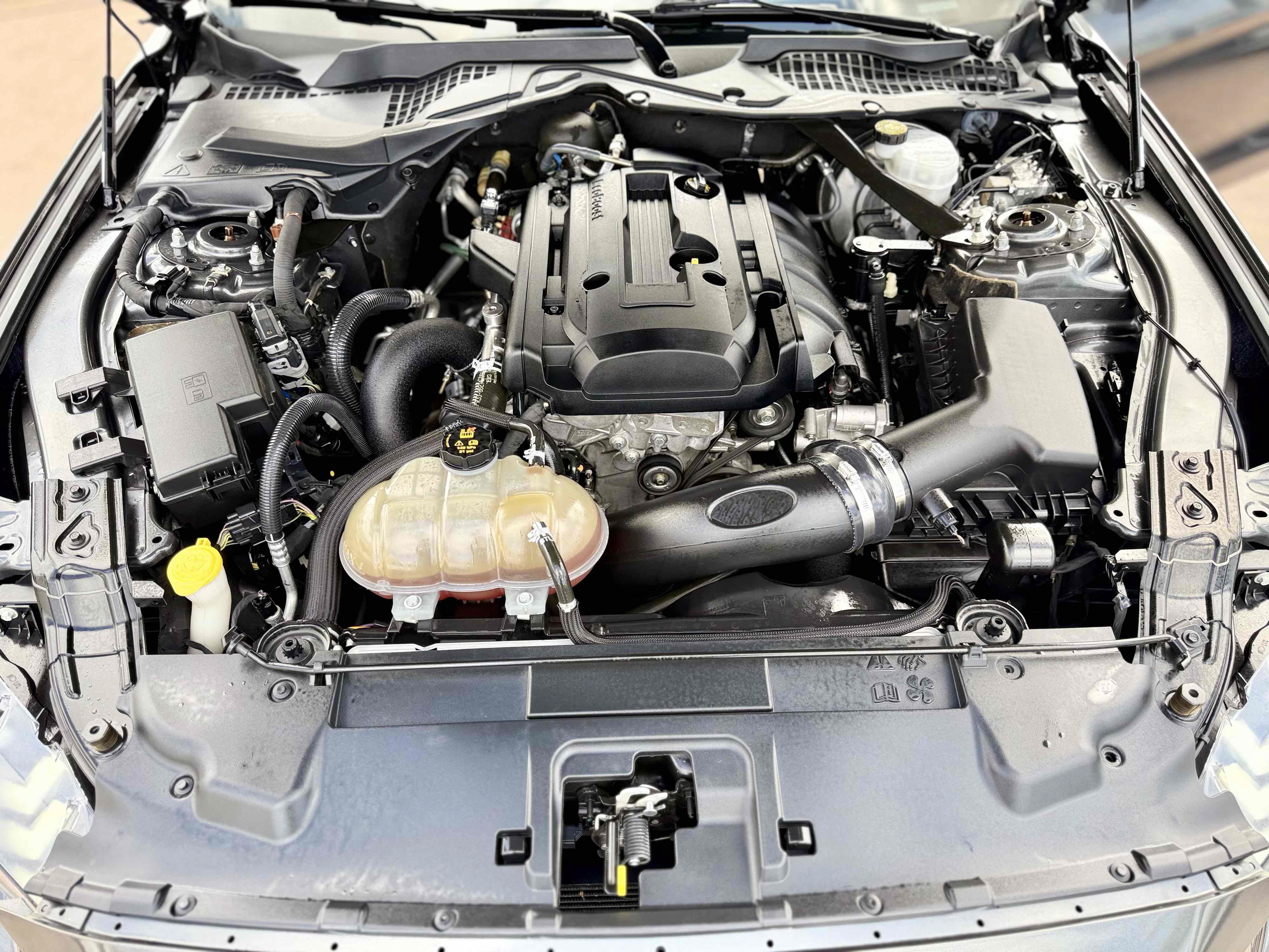Used 2018 Ford Mustang Premium RWD image 13