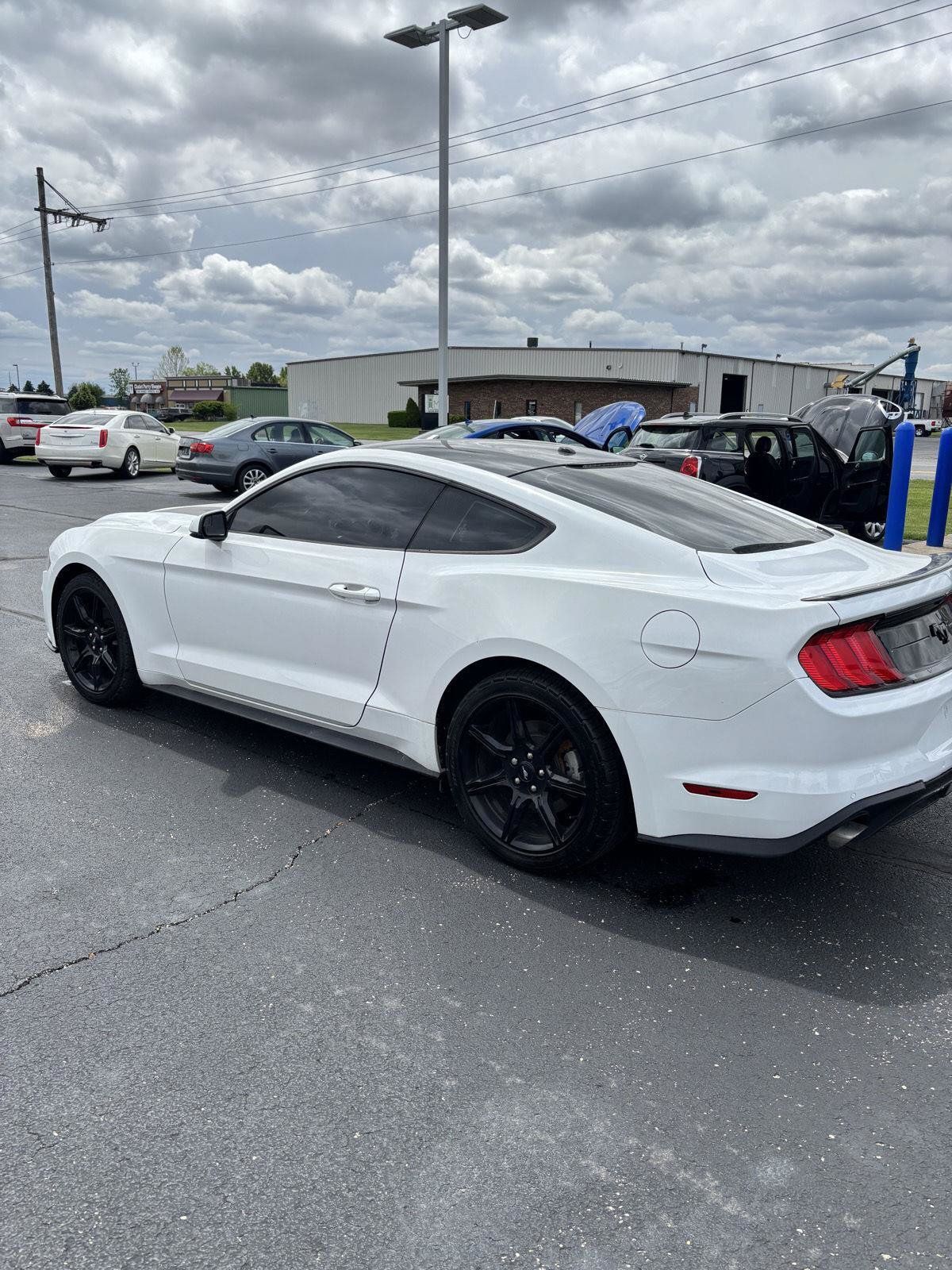 Used 2019 Ford Mustang Premium w/ Black Accent Package RWD image 7