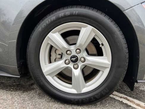 Used 2019 Ford Mustang Coupe image 13