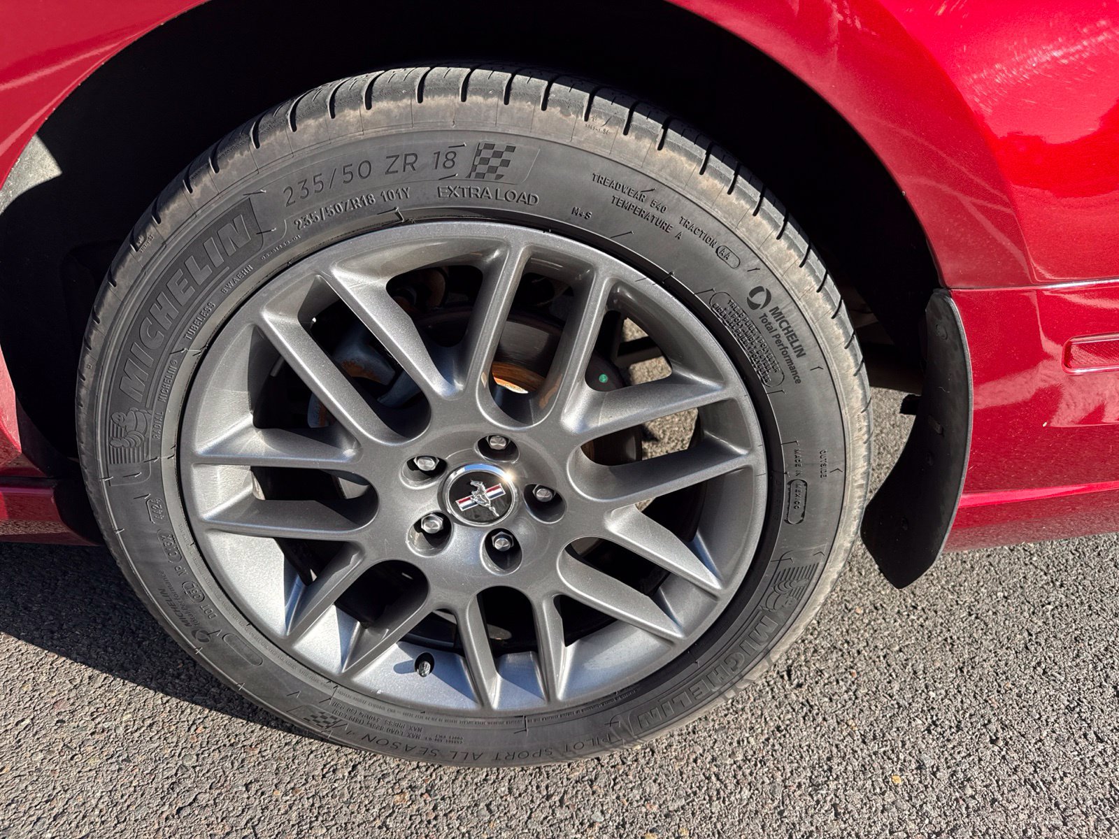 Used 2014 Ford Mustang Premium w/ Equipment Group 203A RWD image 8