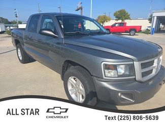 Used 2010 Dodge Dakota Big Horn image 1