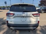 Certified 2022 Ford Escape SEL image 6