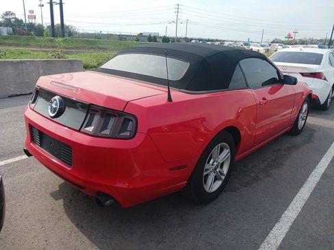 Used 2014 Ford Mustang Convertible w/ Equipment Group 102A image 3