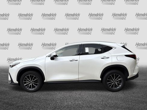Used 2023 Lexus NX 350 AWD image 3