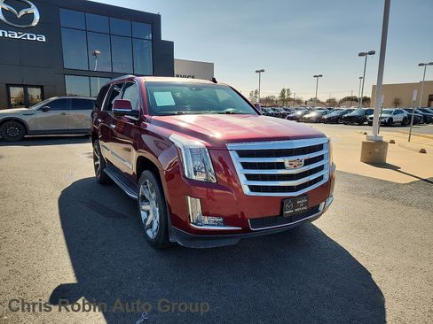 Used 2016 Cadillac Escalade Luxury image 1