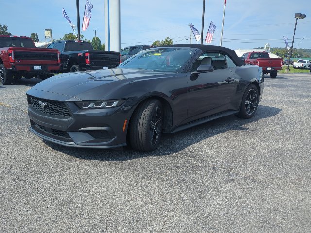 Used 2024 Ford Mustang Premium RWD image 5