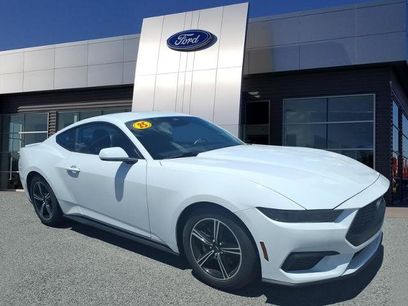 Certified 2025 Ford Mustang Premium