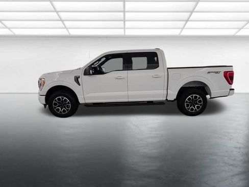 Used 2023 Ford F150 XLT w/ Equipment Group 302A High AWD/4WD image 5