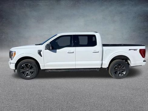 Used 2023 Ford F150 XLT w/ Equipment Group 302A High AWD/4WD image 12