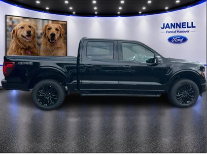 New 2026 Ford F150 XLT w/ Equipment Group 303A High