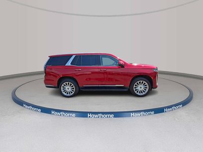 Used 2023 Cadillac Escalade Premium Luxury
