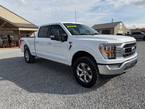 Used 2023 Ford F150 XLT w/ Equipment Group 302A High image 4