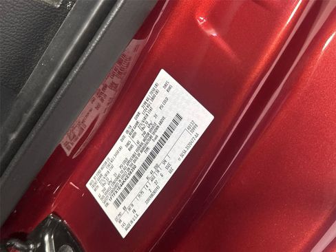 Used 2019 Ford F150 XLT w/ Equipment Group 302A Luxury AWD/4WD image 30
