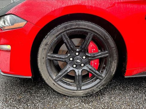 Used 2019 Ford Mustang GT w/ Equipment Group 301A image 4