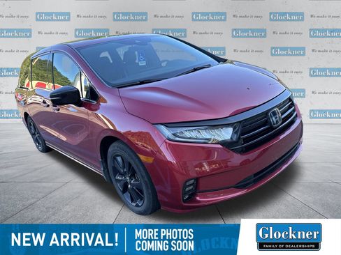 Used 2024 Honda Odyssey Sport image 1